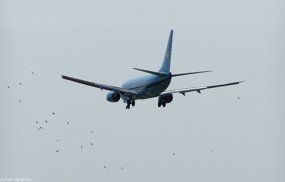 Plane Image